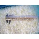 iqf frozen onion cubes and frozen onion diced price