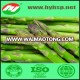 IQF Fresh Green Asparagus