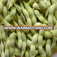 Frozen Edamame Pod/kernel(Frozen soybean)