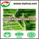 IQF Green Asparagus with HACCP