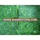 CHINA frozen BQF spinach