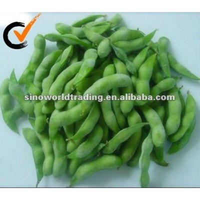 new crop IQF Frozen shelled edamame for sale